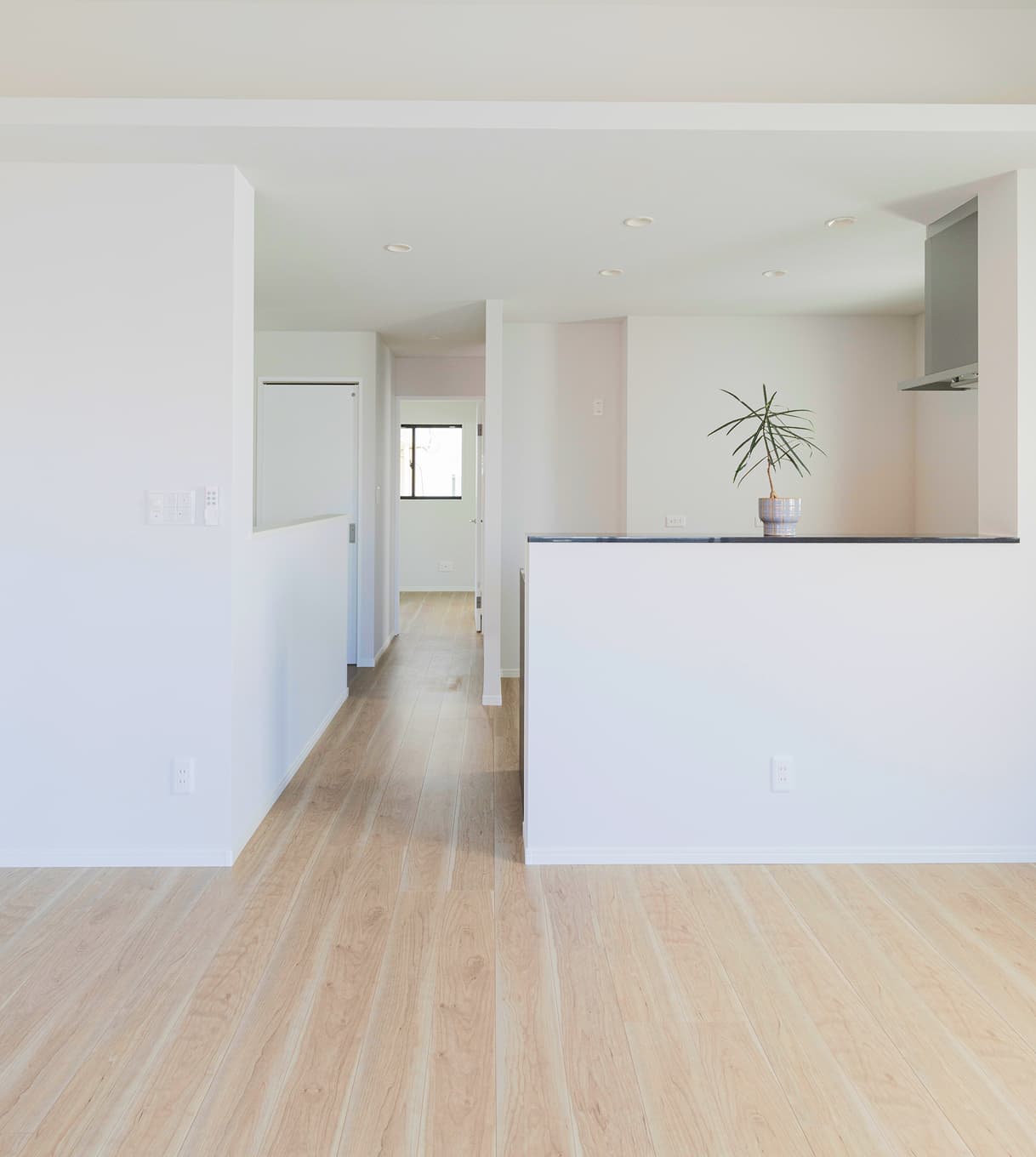 明るく開放的な住戸のリビング