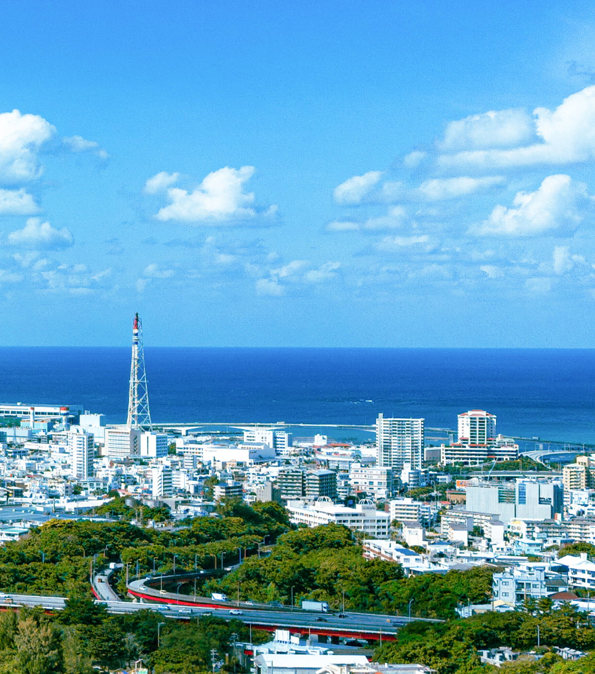 高台から西海岸を見晴らす眺望