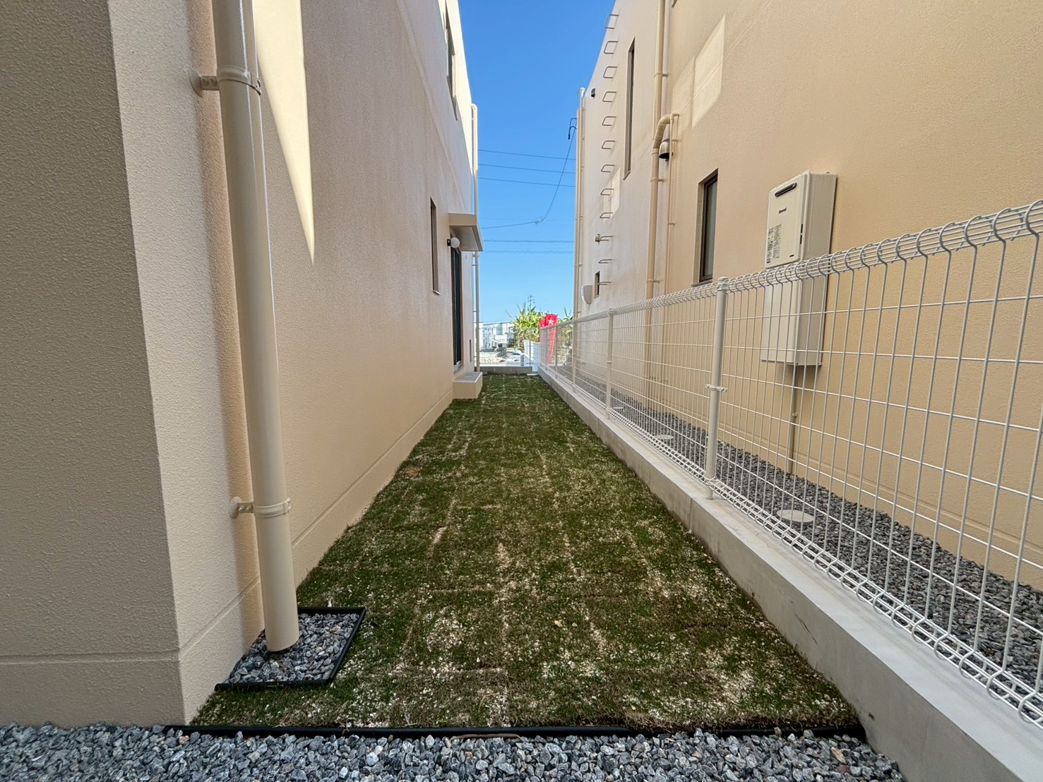 ２号地／クローバーエース八重瀬伊覇