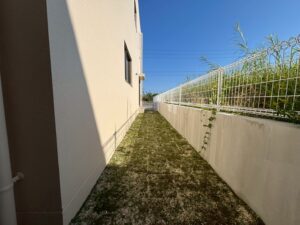 １号地／クローバーエース八重瀬伊覇